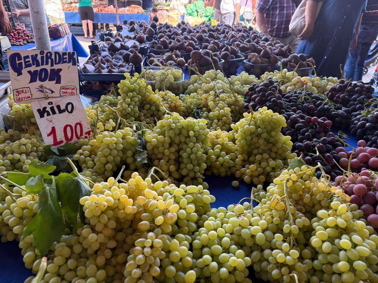 Menteşe Perşembe Pazarı’nda Bu Hafta Tezgâhlar Rengarenk 7